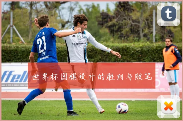 世界杯国旗设计的胜利与败笔