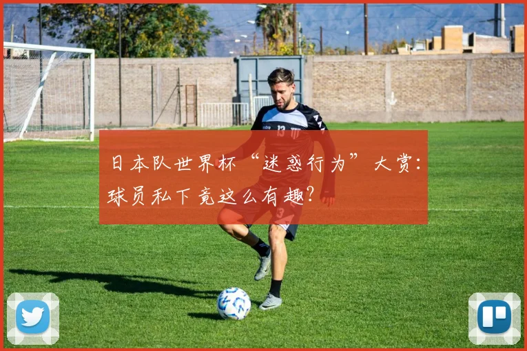 日本队世界杯“迷惑行为”大赏:球员私下竟这么有趣?