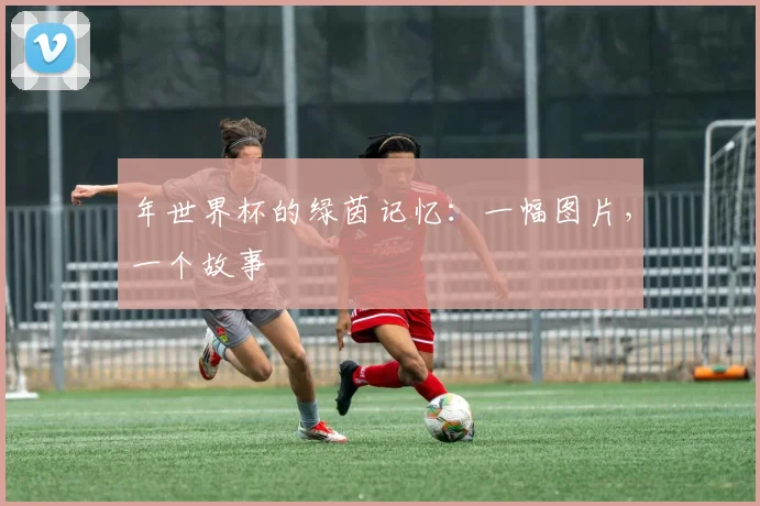 年世界杯的绿茵记忆:一幅图片,一个故事