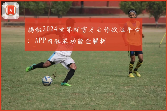 揭秘2024世界杯官方合作投注平台：APP内独家功能全解析