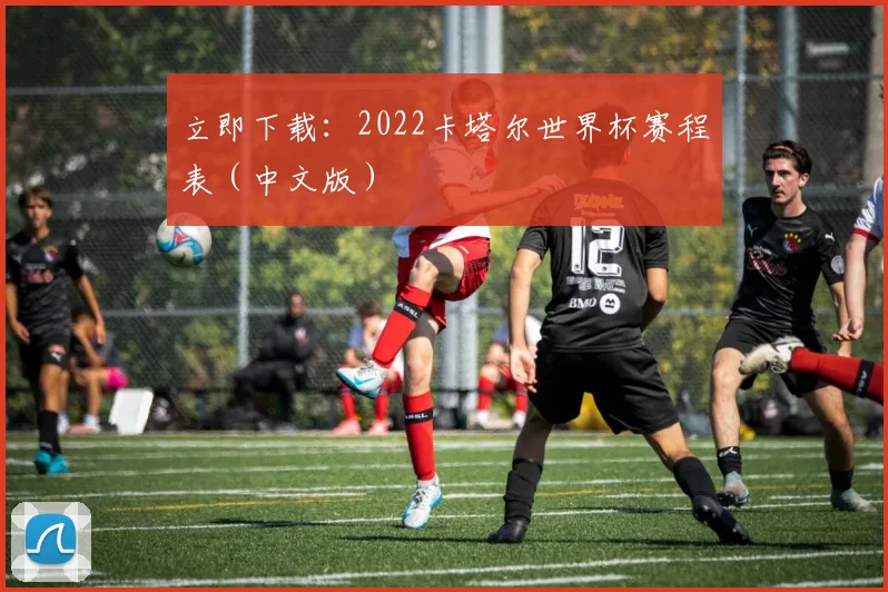 立即下载:2022卡塔尔世界杯赛程表(中文版)